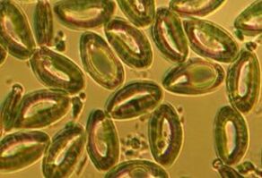 Testes de laboratório